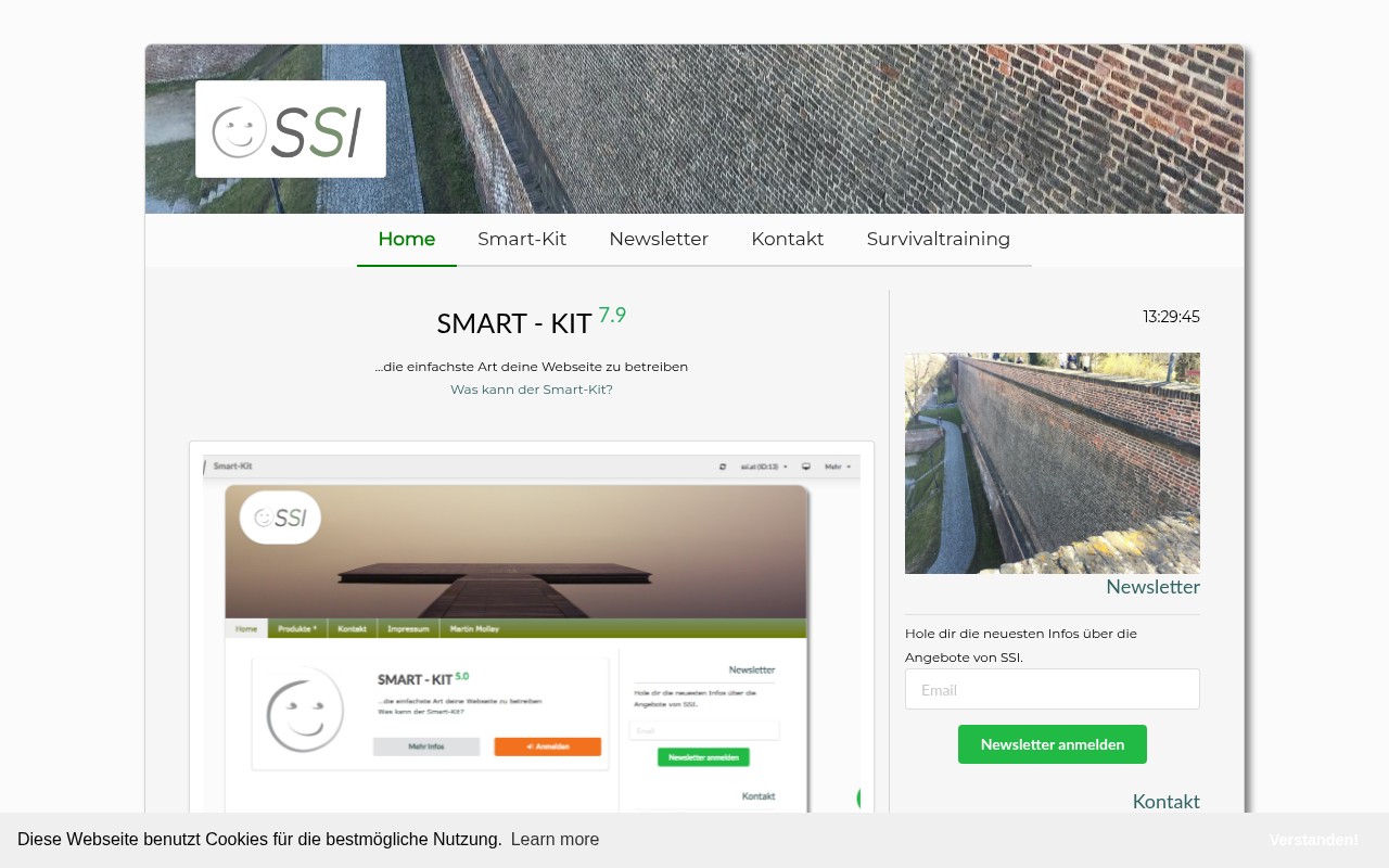 Alte SSI-Webseite (ssi.at)